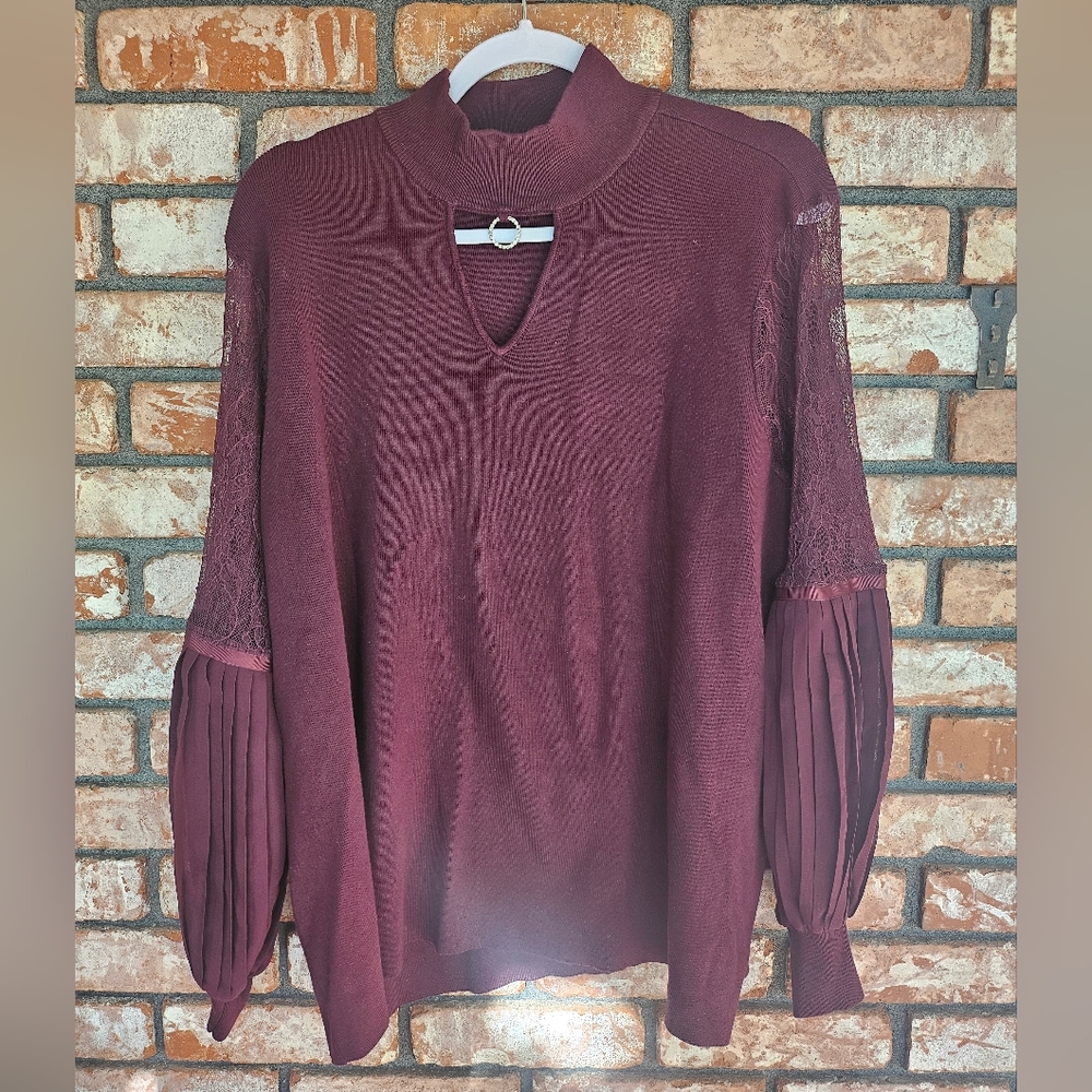Belldini Knit Sweater with Sheer Sleeves